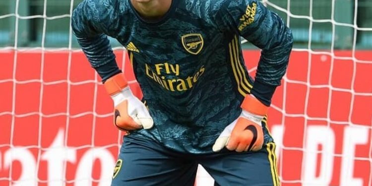 Arsenal Confirms Karl Hein Contract