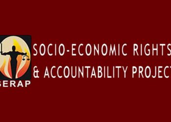 SERAP ask Federal Government to publish names of suspected NDDC looters