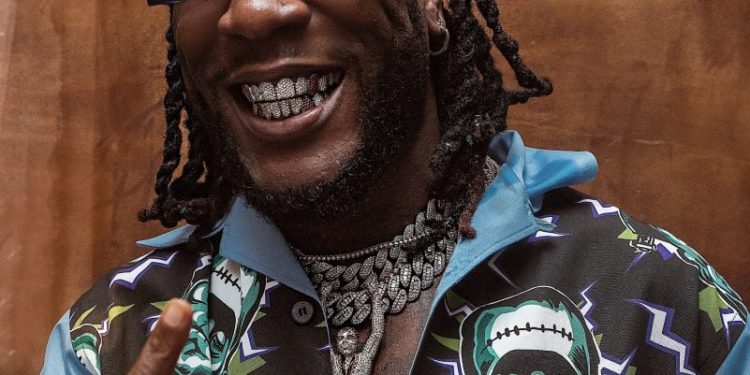 Burna Boy Says he will not release any album till further notice