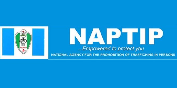NAPTIP Rescues 350 Trafficked Nigerians