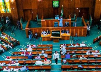 House Of Representatives Approve Power Projects Removal From Public Procurement Act