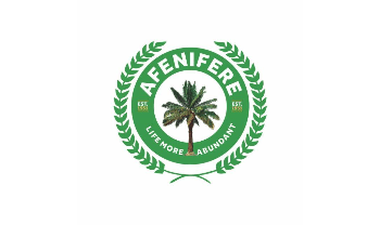 Afenifere Berates FG Over Planned State Of Emergency in Anambra