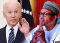 US To Partner With Nigeria On G-7 Programme