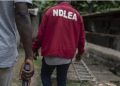 NDLEA arrests drug traffickers in Imo