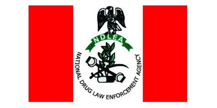 NDLEA arrests fake soldier with hard drugs