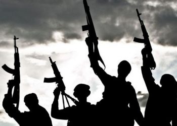 Gunmen Kill 2 At Traditional Rulers Meeting In Imo