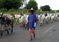 Samuel Ortom Disclose Not Embracing Cattle Colonies in His Administration