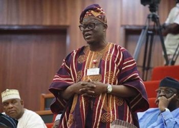 Senate Gives Details On The Amended Electoral Act