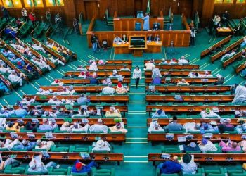 House Of Representatives To Intervene In $176bn Customs Modernization Project