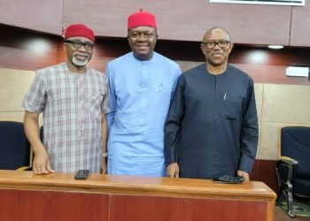 Court declares Ozigbo as PDP candidate