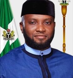 Imo Assembly Removes Deputy Speaker