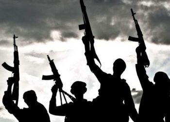 Unknown gunmen attack Benue community