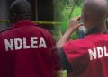 NDLEA arrests drug dealer in Lagos airport