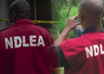 NDLEA arrests drug dealer in Lagos airport