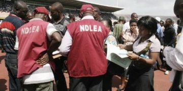NDLEA Seize Consignment of Hard Drugs Worth N4.9 billion