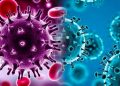 NCDC Reports New Cases of Omicron Variant