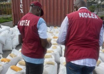 Drug Trafficker Arrested in Lagos