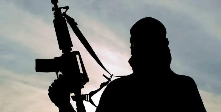 Gunmen Abduct Traditional Rulers in Imo
