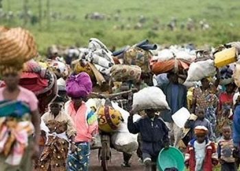 UNHCR Raises Alarm Over Cameroonian Refugees in Nigeria