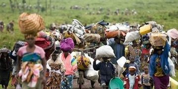 UNHCR Raises Alarm Over Cameroonian Refugees in Nigeria