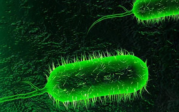 Cholera Claims Lives in Bayelsa