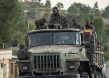 Ethiopian Forces Recapture Strategic Towns