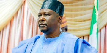 Adamawa Government Bans Professional Hunters Association