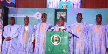 Governors Call for More Investment in Power Project