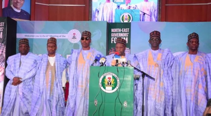 Governors Call for More Investment in Power Project
