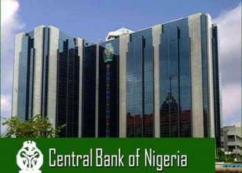 Bank Loans to Government Rises