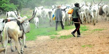Benue government reviews anti open grazing law