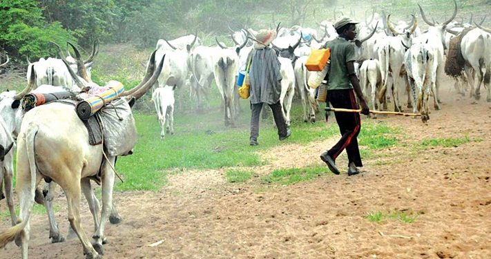 Benue government reviews anti open grazing law