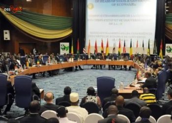ECOWAS to Hold Virtual Summit on Burkina Faso Crisis
