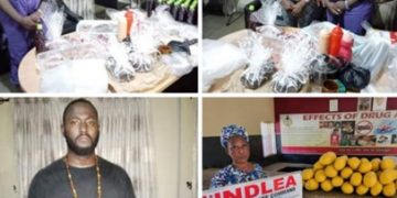 NDLEA Arrests Six Persons Over Drug Cookies