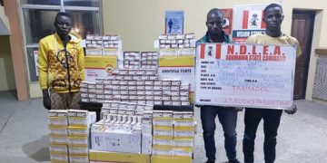 NDLEA Arrests Trans Border Drug Trafficker