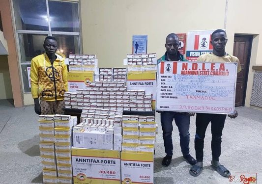 NDLEA Arrests Trans Border Drug Trafficker