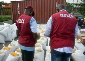 NDLEA Sets up Task Force Against Mkpuru Mmiri