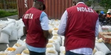 NDLEA Sets up Task Force Against Mkpuru Mmiri