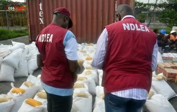 NDLEA Sets up Task Force Against Mkpuru Mmiri