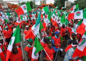 Zamfara NLC demands implementation of N30,000 minimum wage