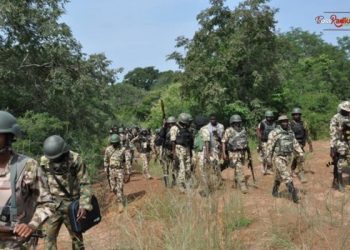 Operation Hadin Kai Neutralizes 37 Terrorists