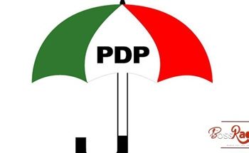 PDP Urges Party Members to Work as a Team