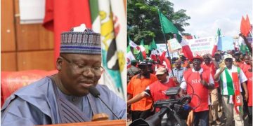 Senate President Appeals to NLC