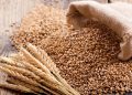 Wheat Production Crashes