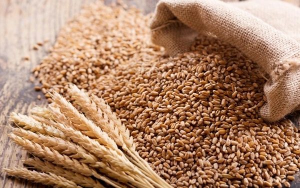 Wheat Production Crashes