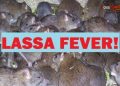 Oyo government intensifies action to curtail Lassa Fever cases
