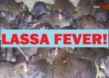 Oyo government intensifies action to curtail Lassa Fever cases
