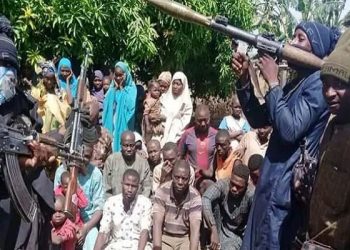 20 Abducted Victims Regain Freedom in Niger