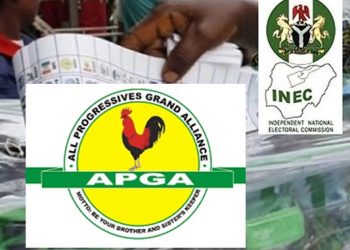 APGA Rejects Local Government Poll Result in Enugu