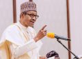 Buhari Seeks Severe Punishments for Ritual Killings